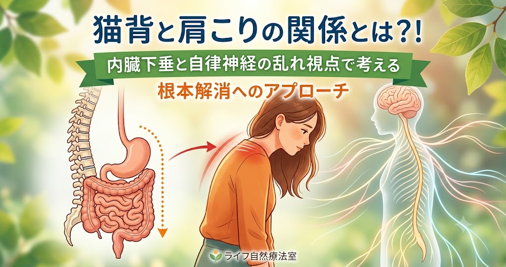 猫背と肩こりの関係性